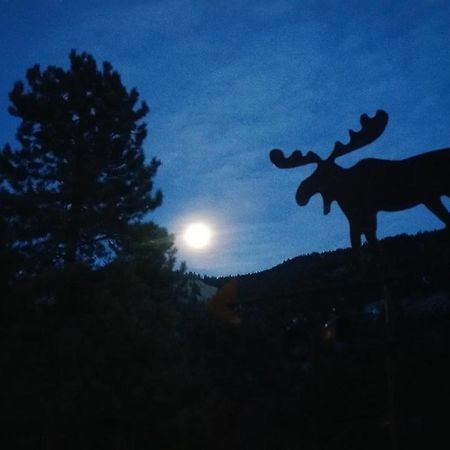 Alpine Moose Lodge Lake City Dış mekan fotoğraf