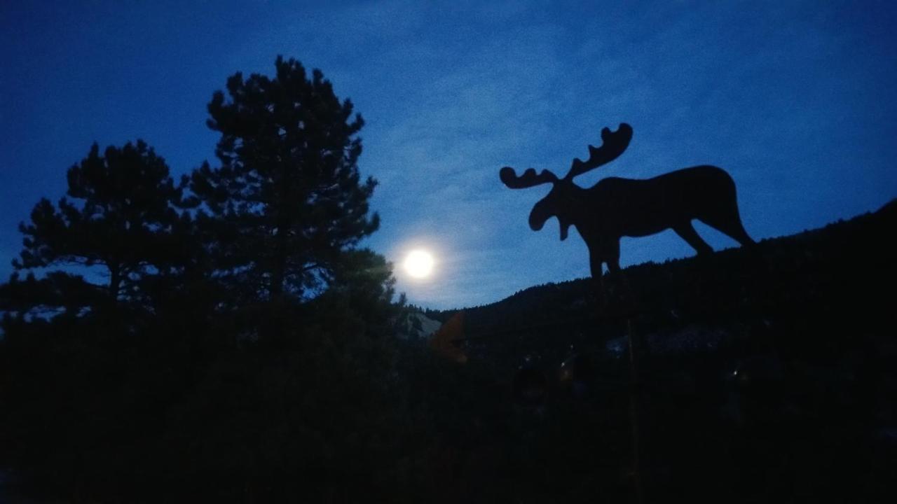Alpine Moose Lodge Lake City Dış mekan fotoğraf