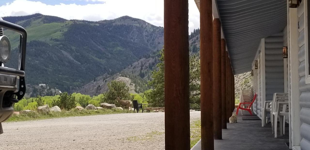 Alpine Moose Lodge Lake City Dış mekan fotoğraf