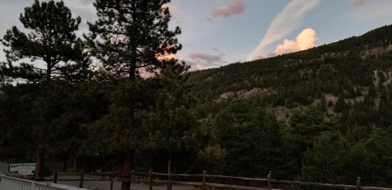 Alpine Moose Lodge Lake City Dış mekan fotoğraf